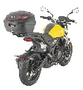 SR9258_mounted_2128x1600.webp