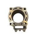P400210100049